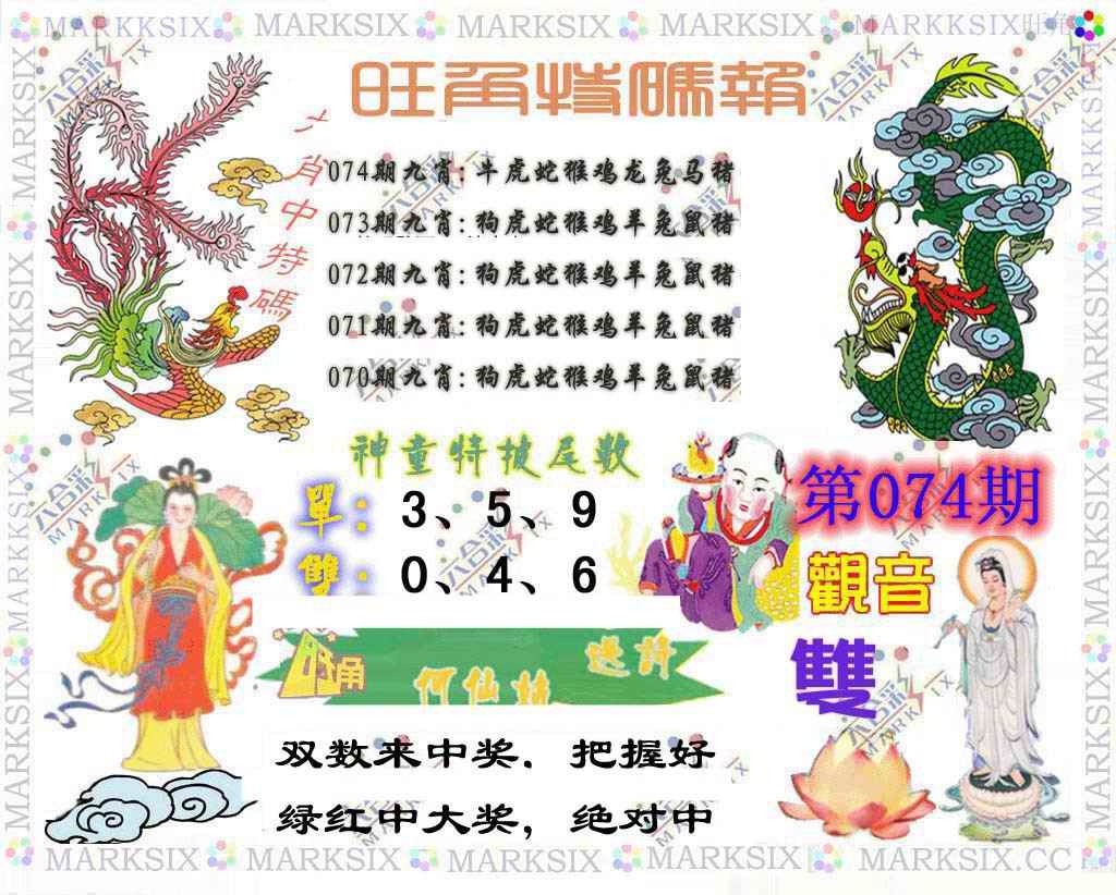 九肖中特